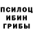 Псилоцибиновые грибы Cubensis Andris Klepper