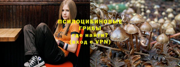 a pvp Абаза